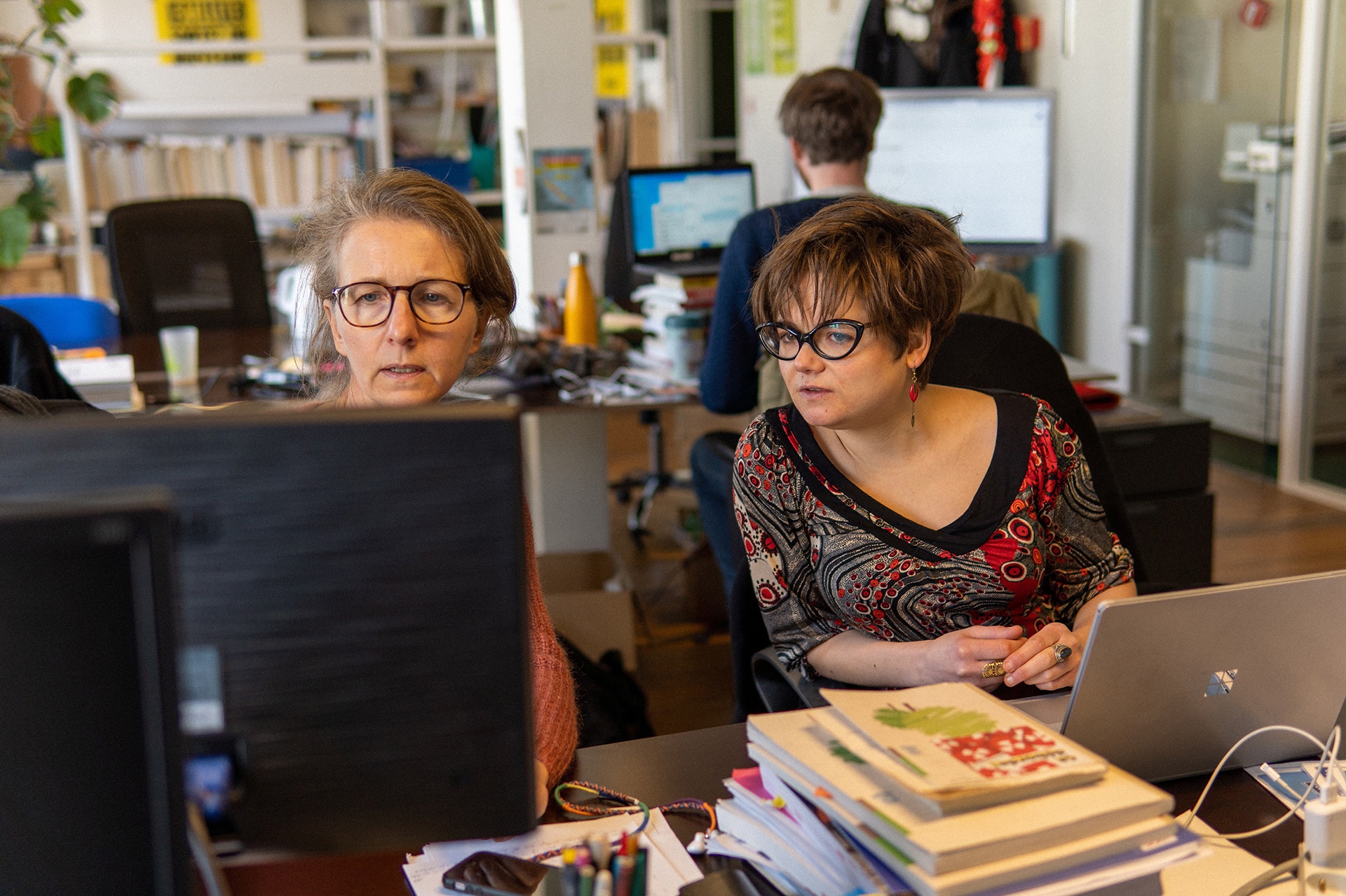 Lucie Pinson, Goldman Environmental Prize