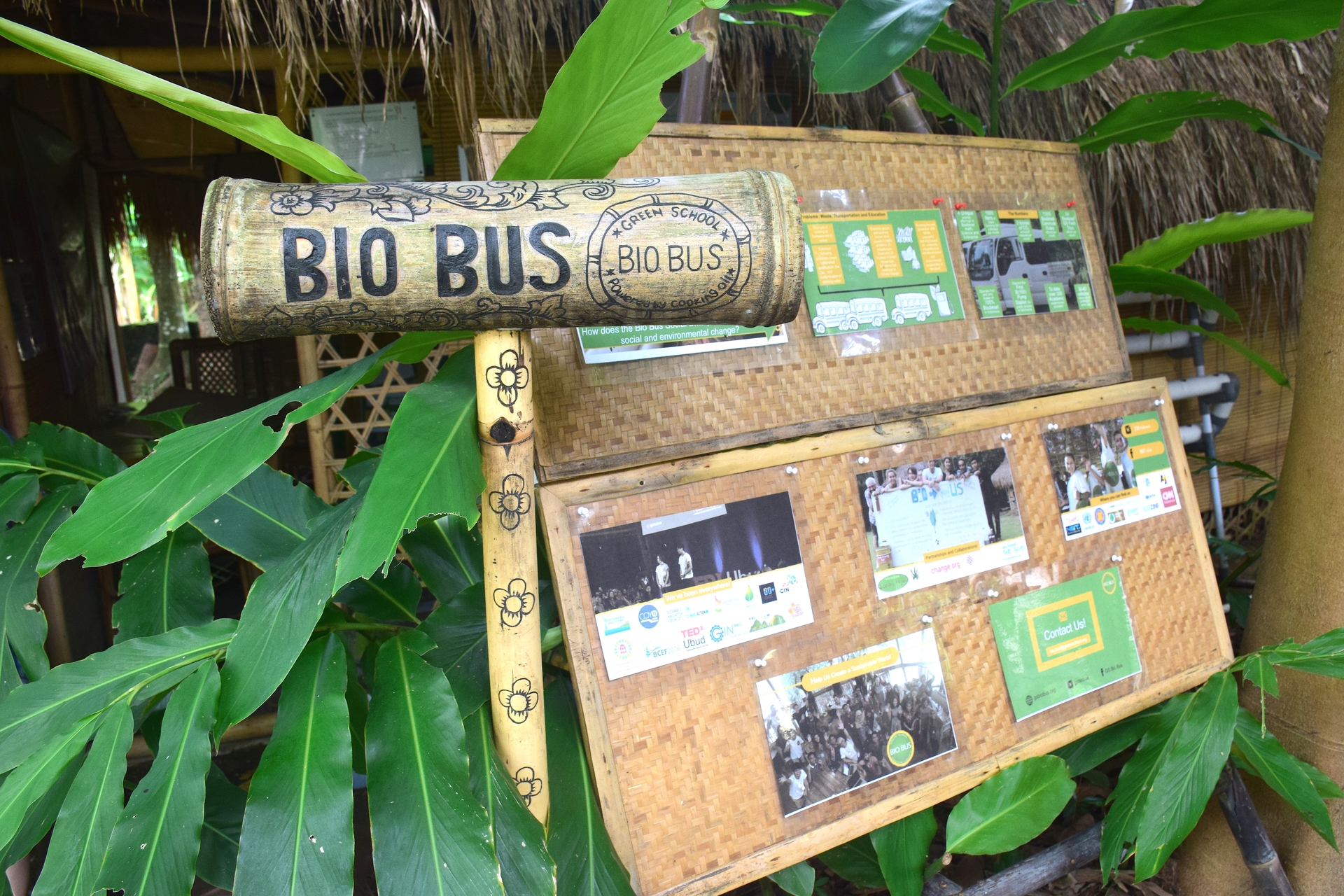 Fermata del bio bus della Greenschool di Bali