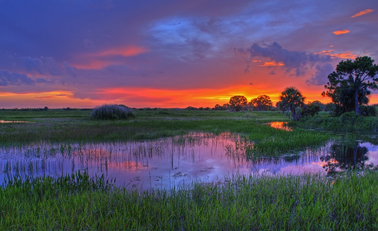 Parco nazionale delle Everglades, in Florida