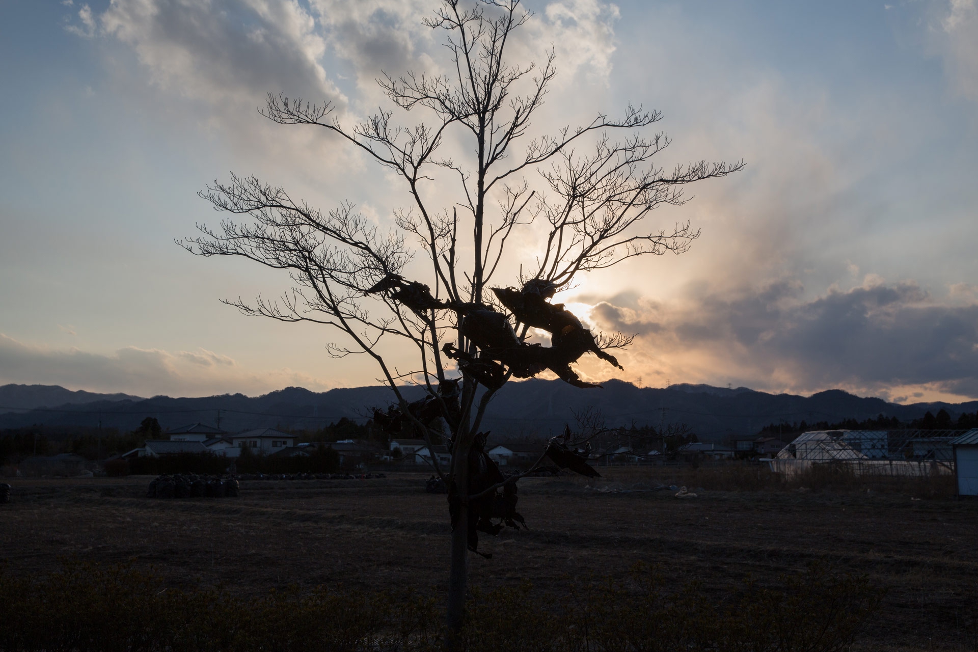Fukushima tre anni dopo