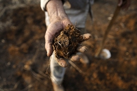 What is land grabbing and why land acquisitions are destroying the planet