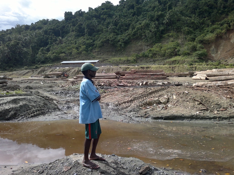 illegal logging tax evasion Papua New Guinea