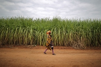 La terra delle donne, l’appello Oxfam contro i cambiamenti climatici