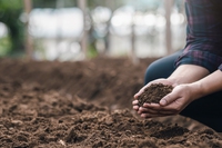 Edible Planet Summit. “La rigenerazione dei sistemi alimentari passa da collaborazione ed educazione”