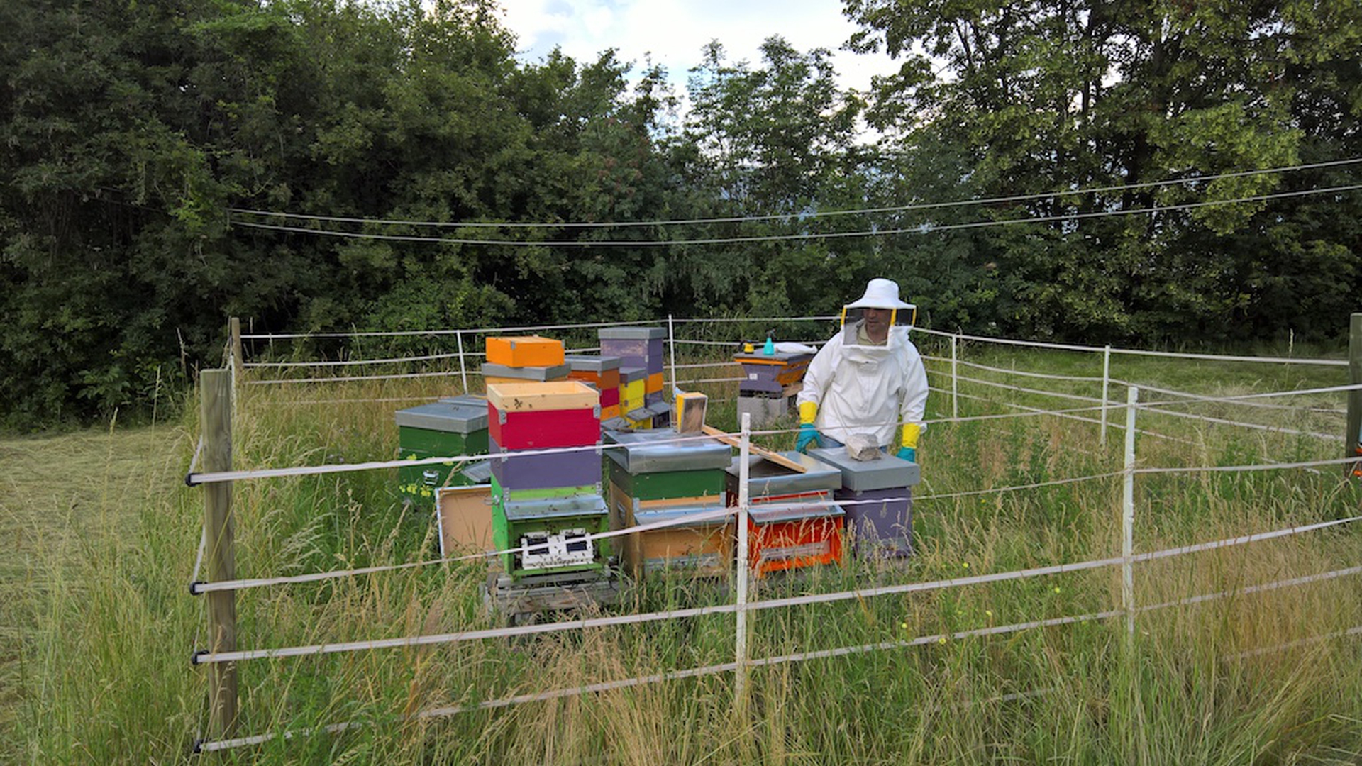 Biomonitoraggio Melixa a Castellano