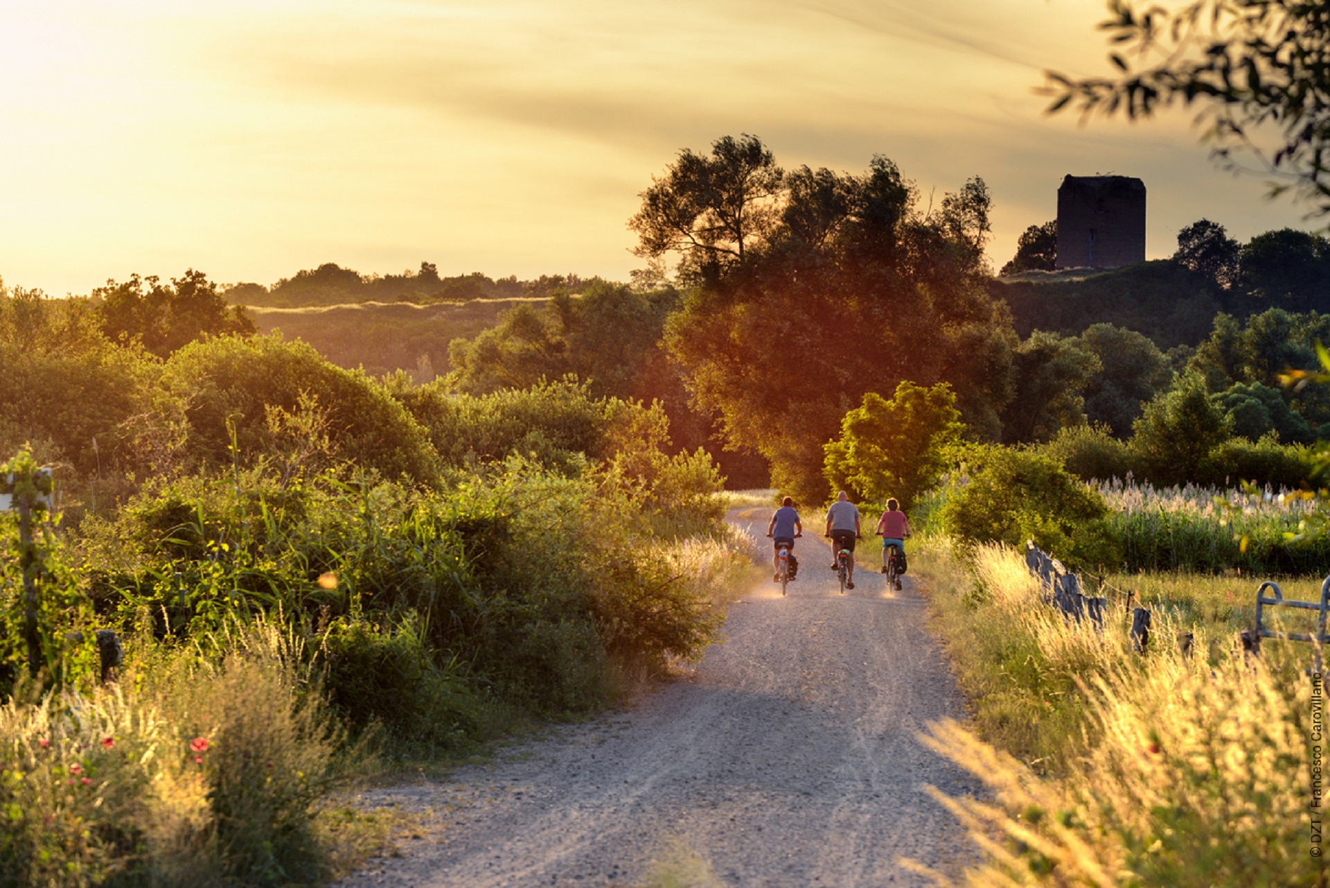 Parchi nazionali tedeschi