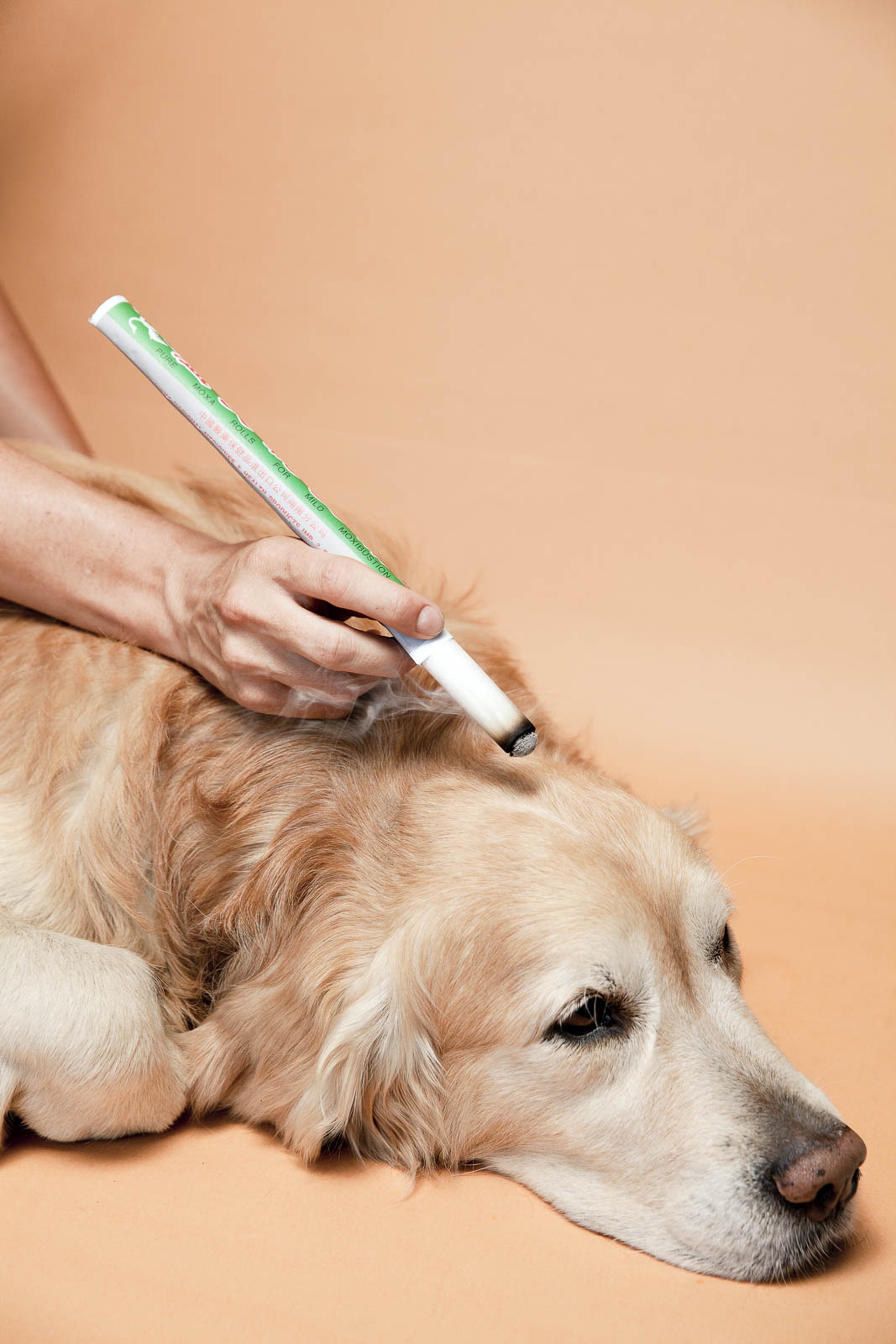 Seduta di moxibustione