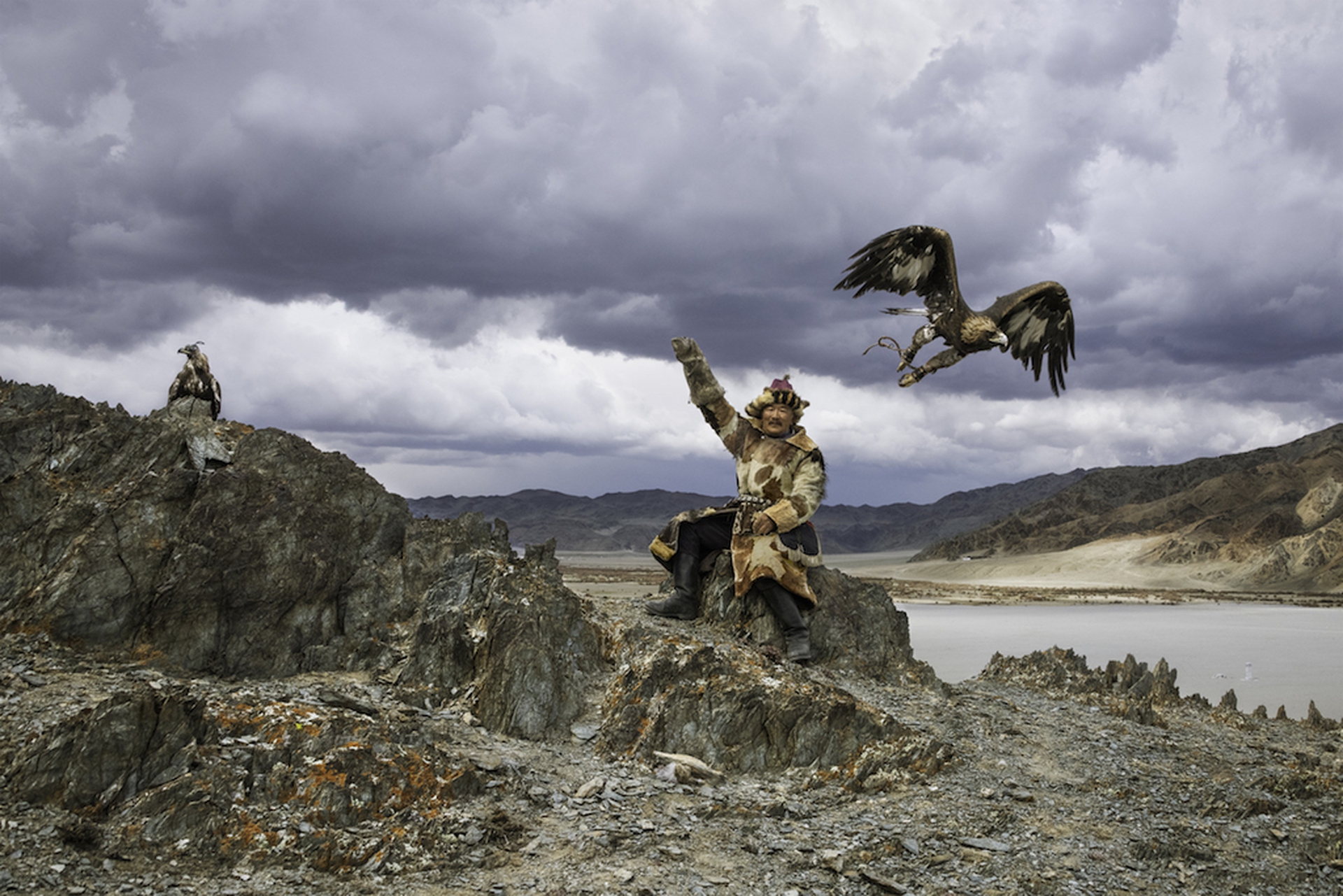 Le foto della mostra Animals di Steve McCurry al Mudec di Milano: Mongolia