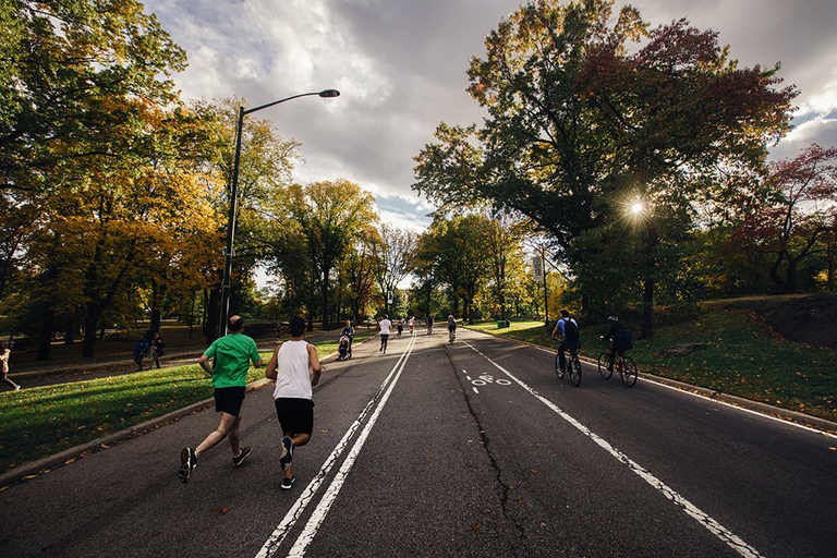 alberi crescono più velocemente a central park