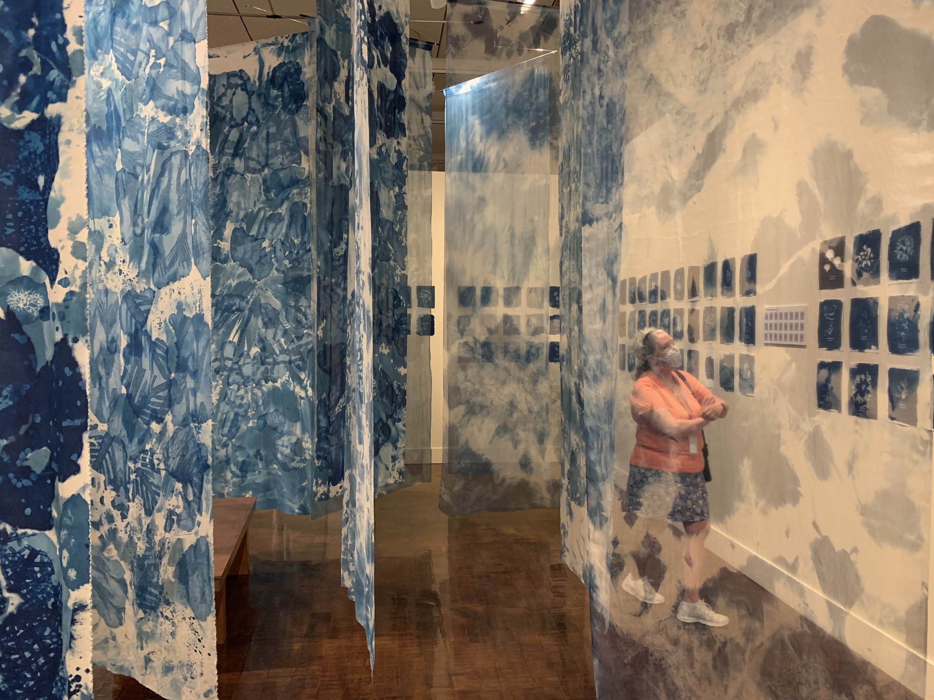 Stampe di alghe Limu con processo cianotipico in mostra all'Honolulu Museum of Art © Gwen Arkin