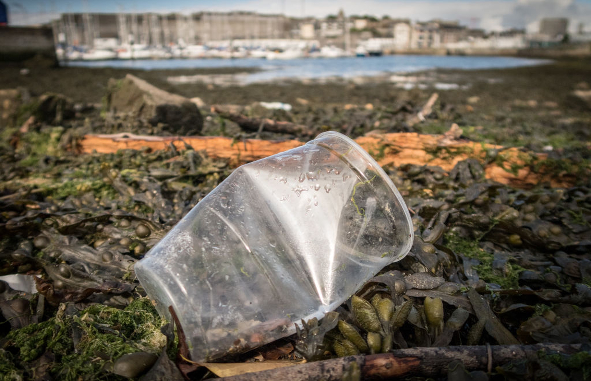 Plastic found along the UK coastline