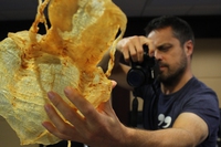 Andrea Crosta on how documentaries and intel will decide the Earth’s future