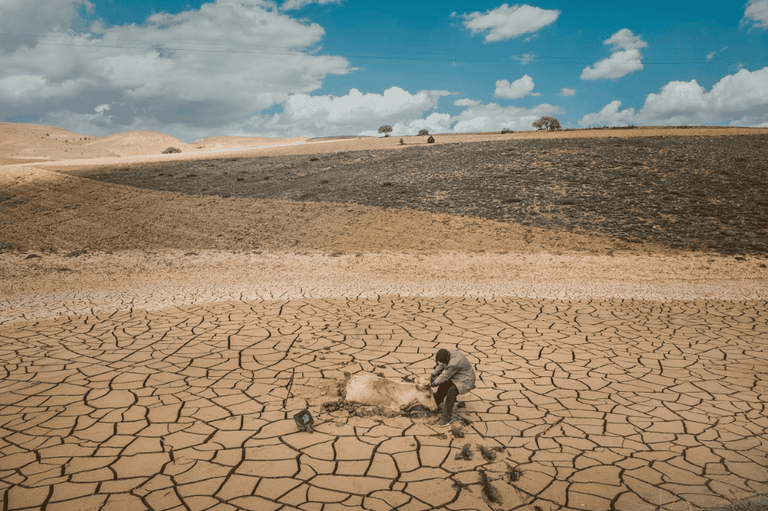 Festival della fotografia etica Lodi