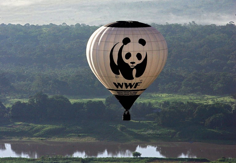Mongolfiera del Wwf