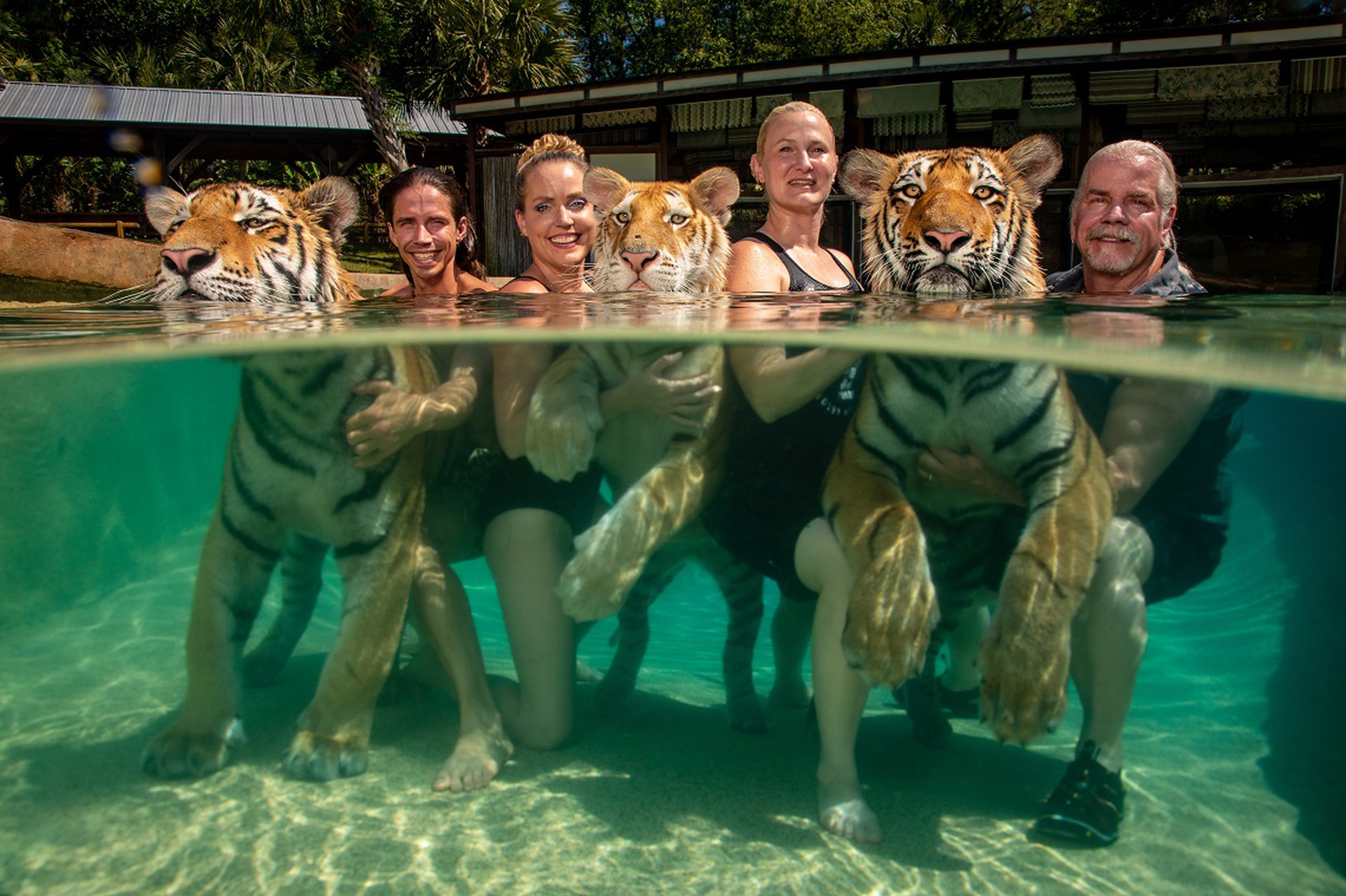 The Tigers Next Door, Steve Winter, World Press Photo 2020