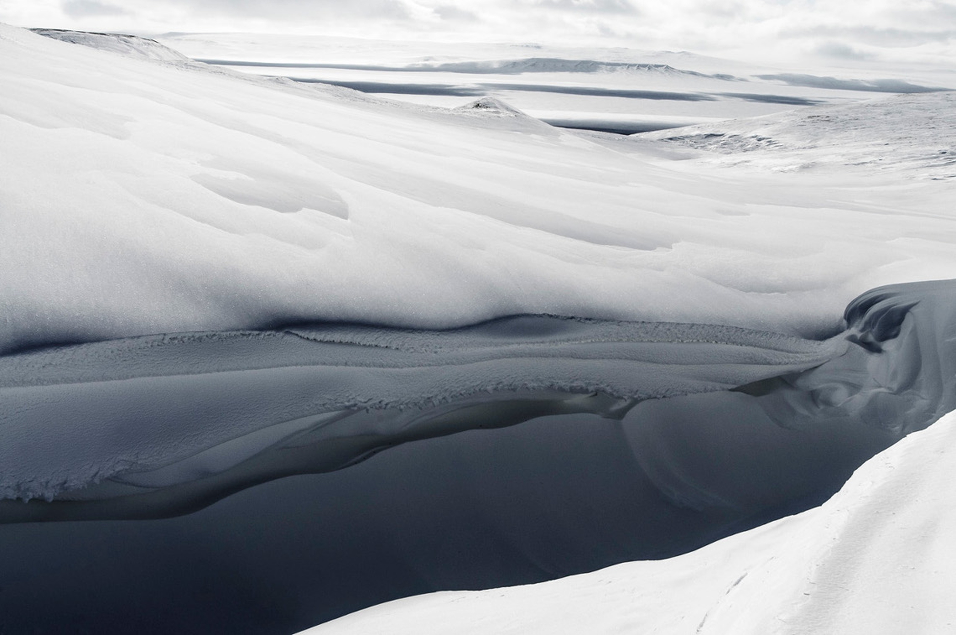 8_Vincent Munier Isola di Banks, Canada 2010