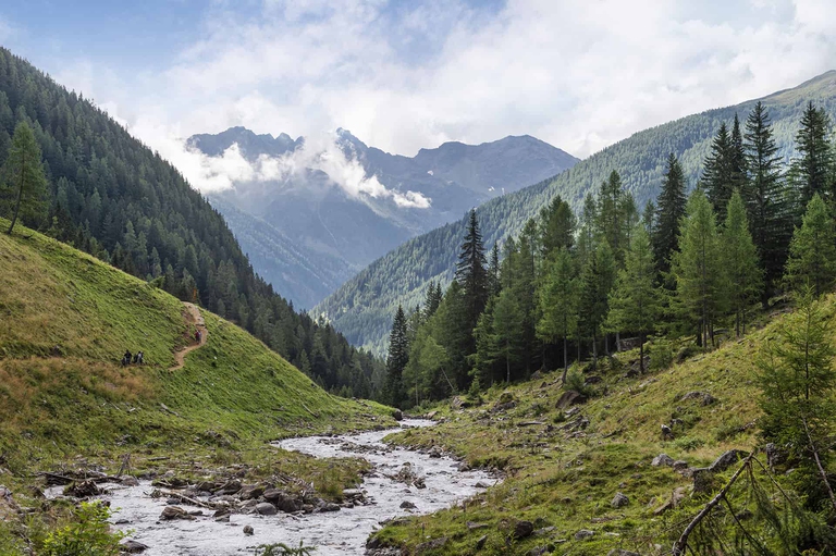 WolfNext – Parchi a sistema per il futuro del Lupo in Italia”: sottoscritto  il Protocollo di intesa – Ente Parco Nazionale del Gargano