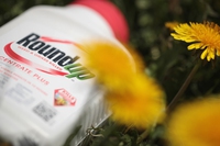 Glifosato, la Corte suprema rifiuta di esaminare un ricorso di Bayer