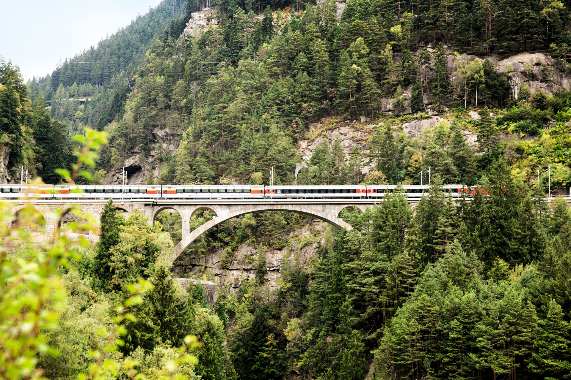 treno svizzera