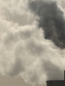 Quali paesi si sono impegnati a raggiungere la neutralità climatica