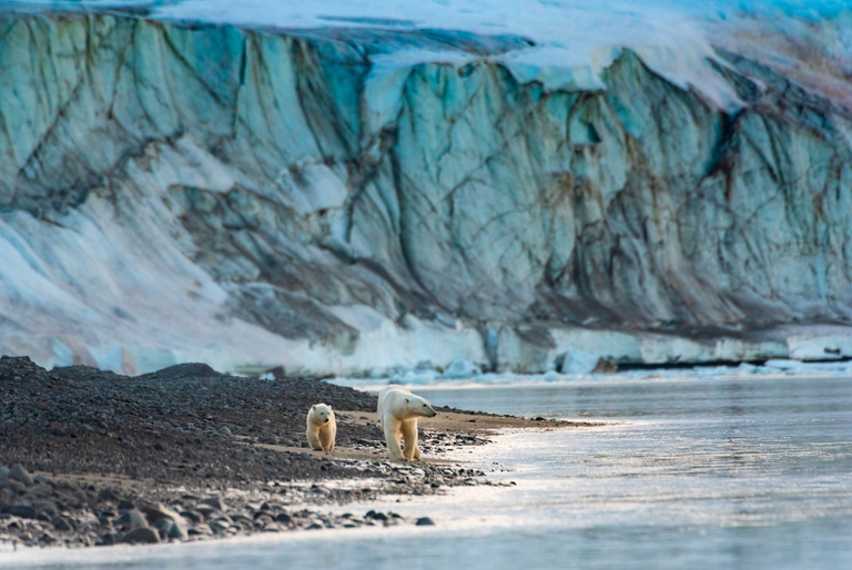 Artico, nel mare di Barents le temperature crescono a ritmi inimmaginabili