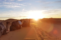 Il deserto del Sahara cresce, anche per colpa dei cambiamenti climatici