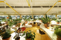 This coworking space in Lisbon is Europe’s greenest. It has more than 1,000 plants