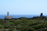 Pantelleria, 10mila alberi per riforestare l’isola