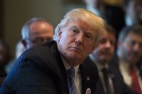 Donald Trump getta la spugna. Salta il voto sull’Obamacare: primo schiaffo al presidente