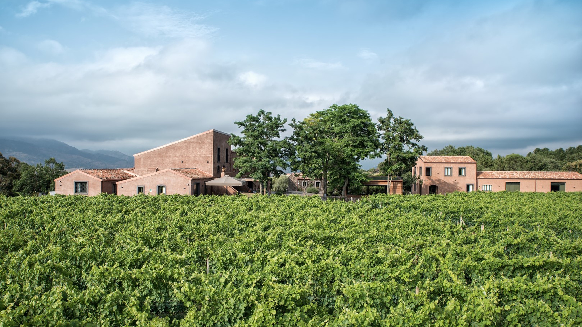 Tenuta e vigneti