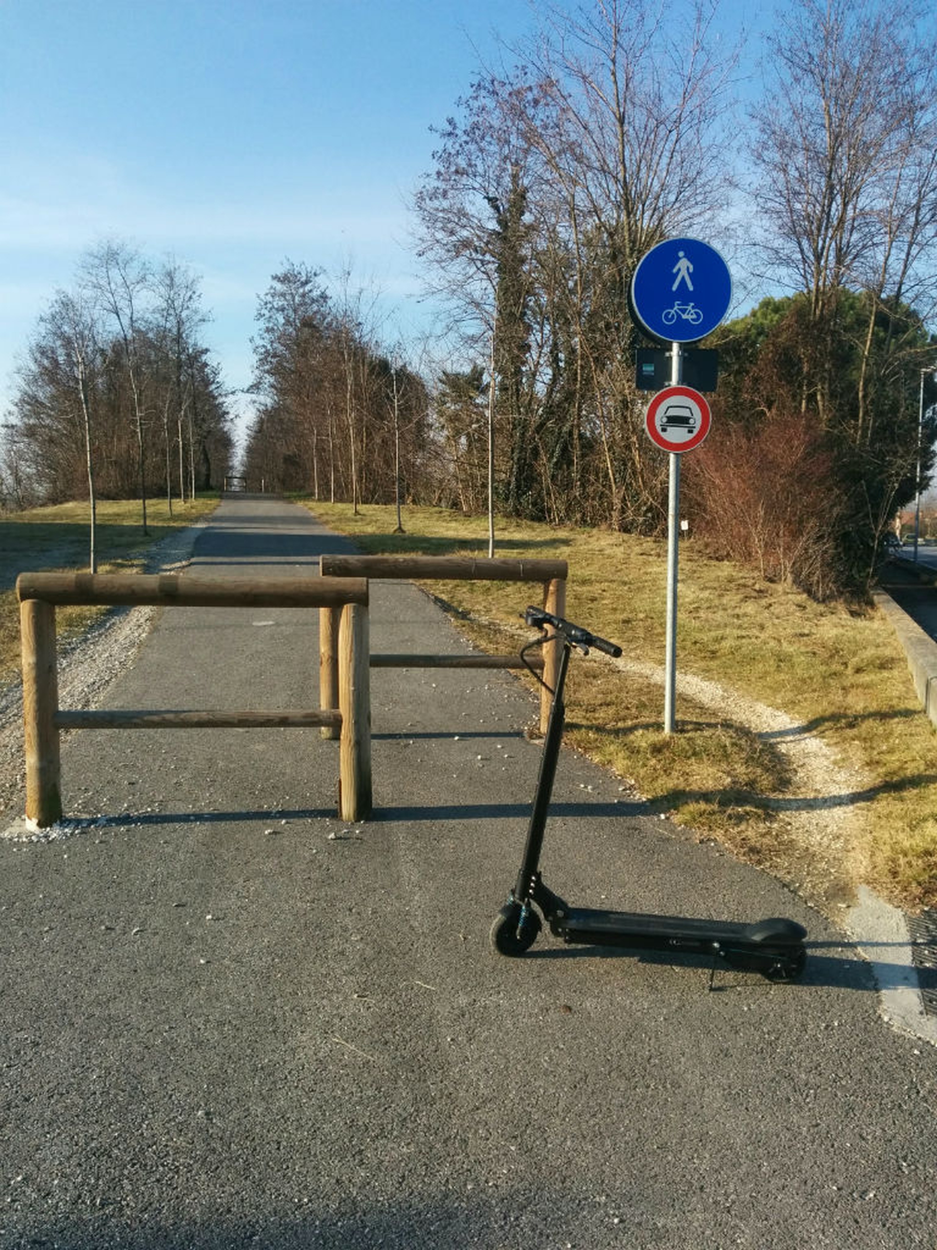 Egret one, electric kick scooter