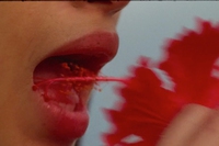 Film green, una selezione a cura di Fashion Film Festival Milano