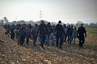Crisi climatica e guerre potrebbero costringere oltre un miliardo di persone a emigrare