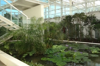 Il nuovo orto botanico di Padova: ecco il giardino della biodiversità