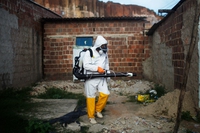 Sc Johnson dona 15 milioni per fermare la trasmissione di Zika