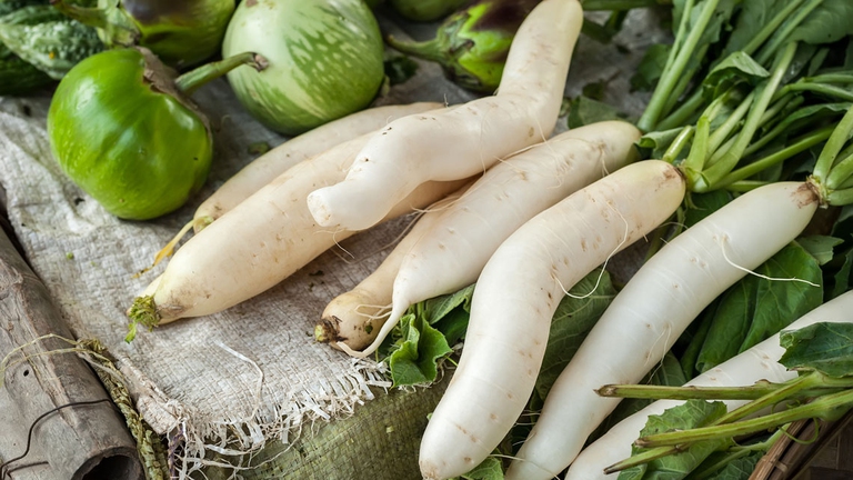 raccolto orto agosto daikon