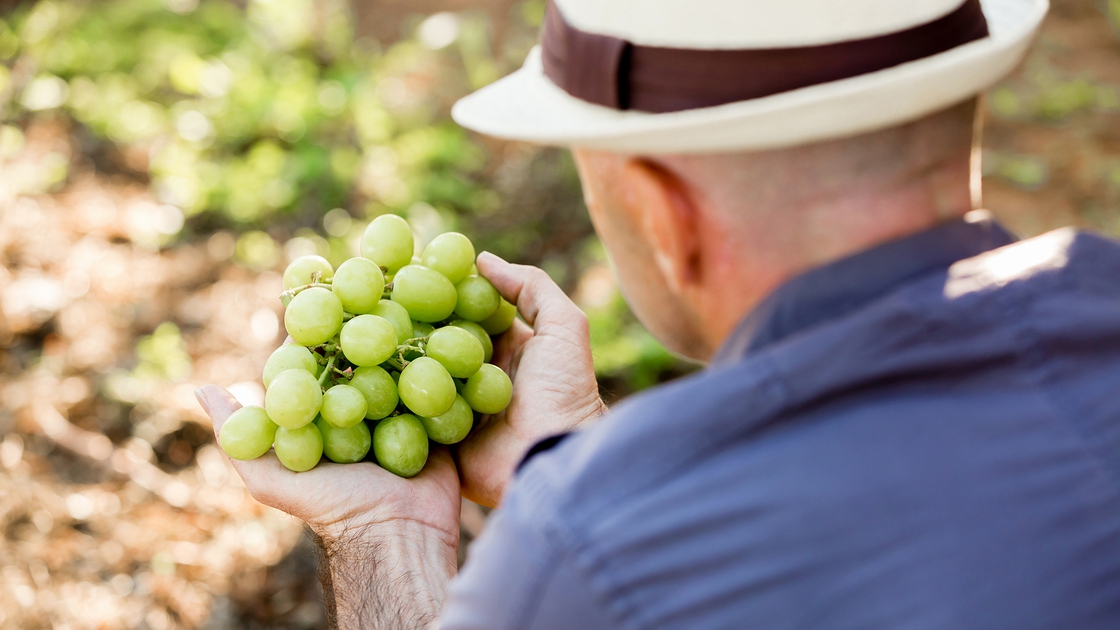 Fare rete con i fornitori durante l’emergenza Covid-19: la soluzione di ...