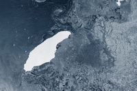 Un enorme iceberg rischia di colpire la Georgia del sud