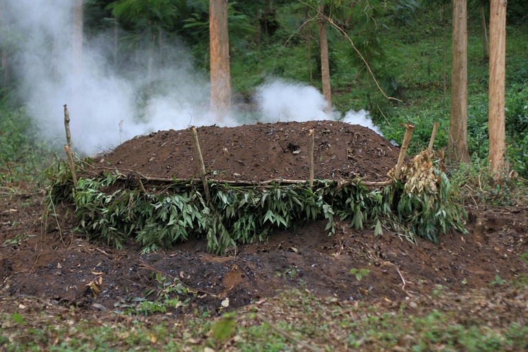 carbone da legna Ruanda