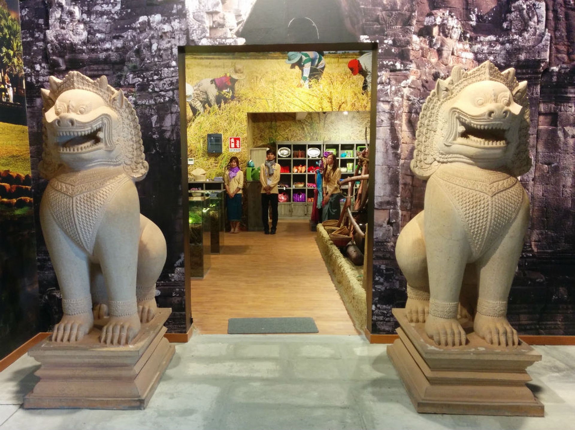 Il riso. Ecco uno dei veri protagonisti di Expo