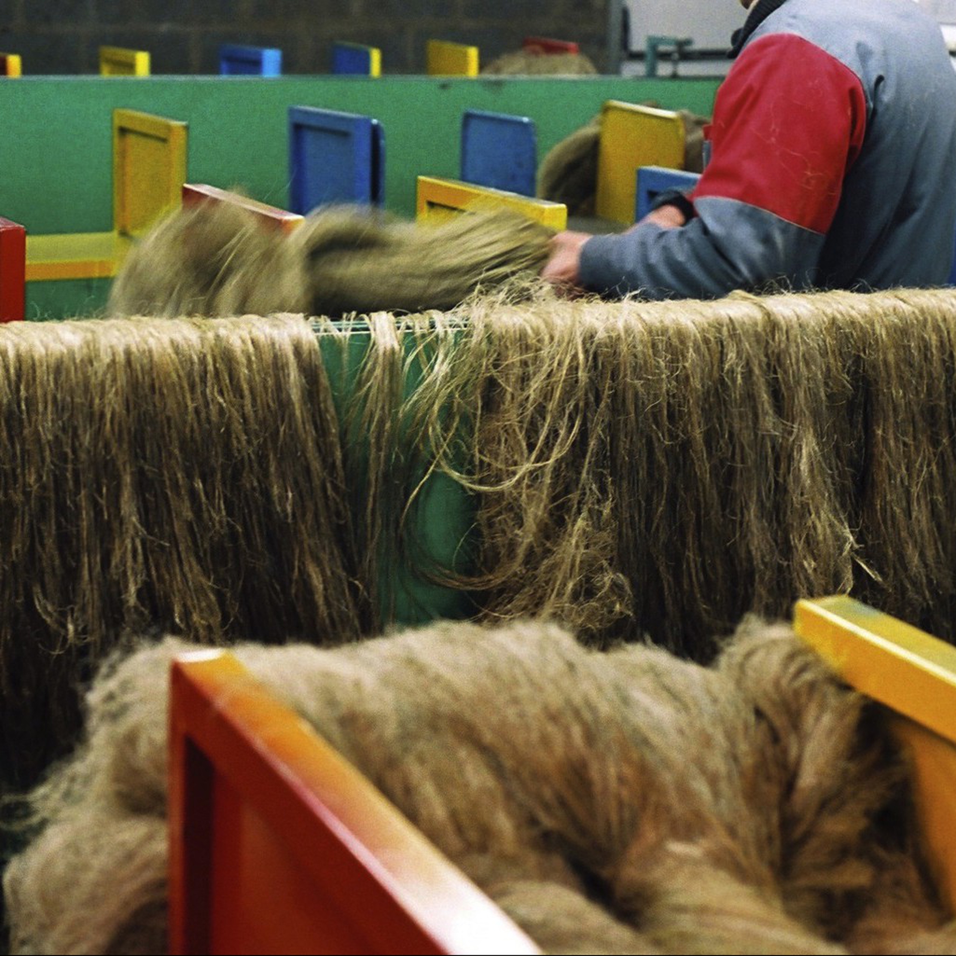 La sostenibilità del lino