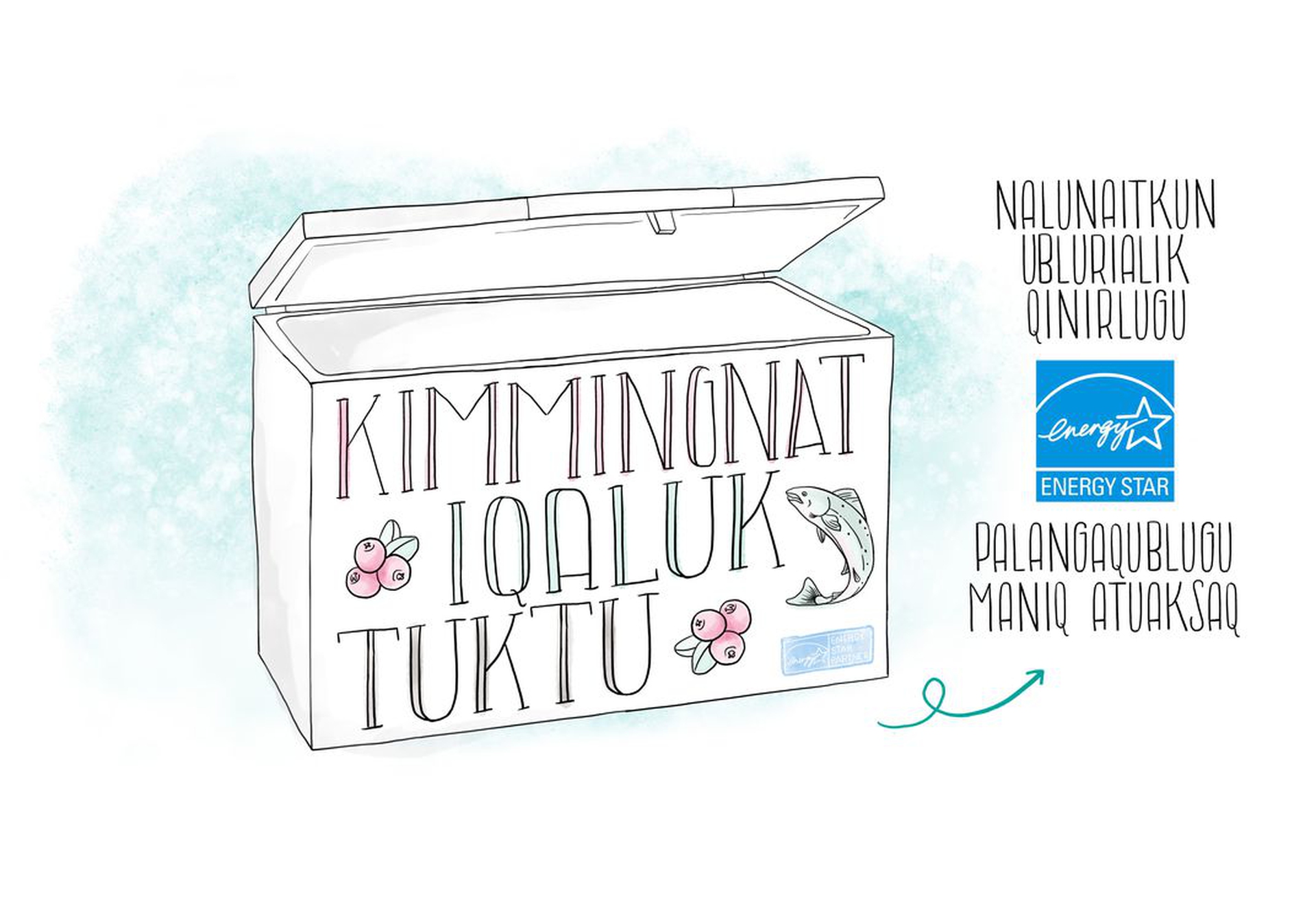 Disegno e spiegazione di come utilizzare al meglio il frezeer