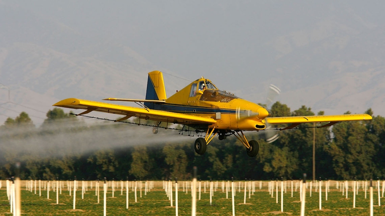 pesticidi francia consiglio costituzionale
