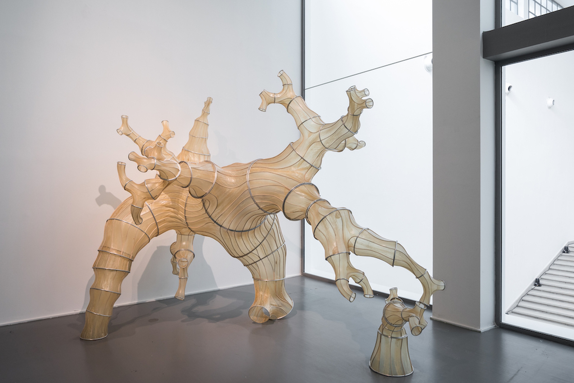 L'opera di Oki Naganode e Julia Lohmann a La Triennale di Milano