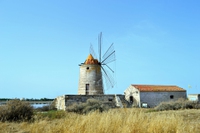 Sicilia occidentale: un viaggio nella zona di Trapani tra saline, arte, natura e archeologia