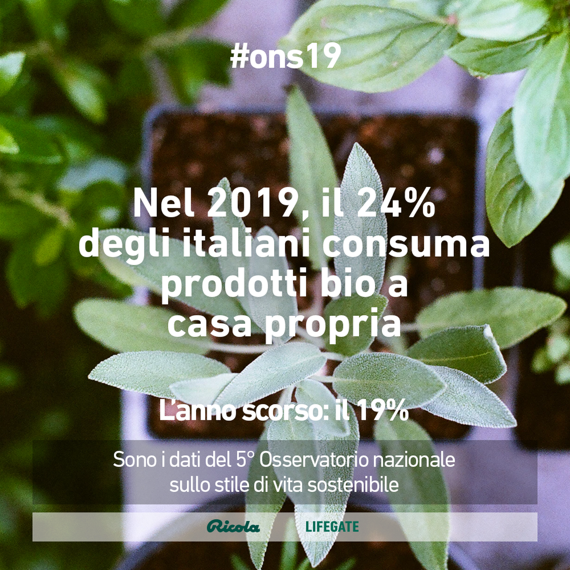 Osservatorio nazionale 2019