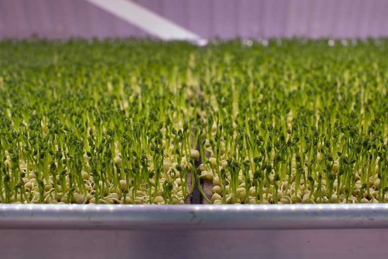 Gates for industrial agriculture