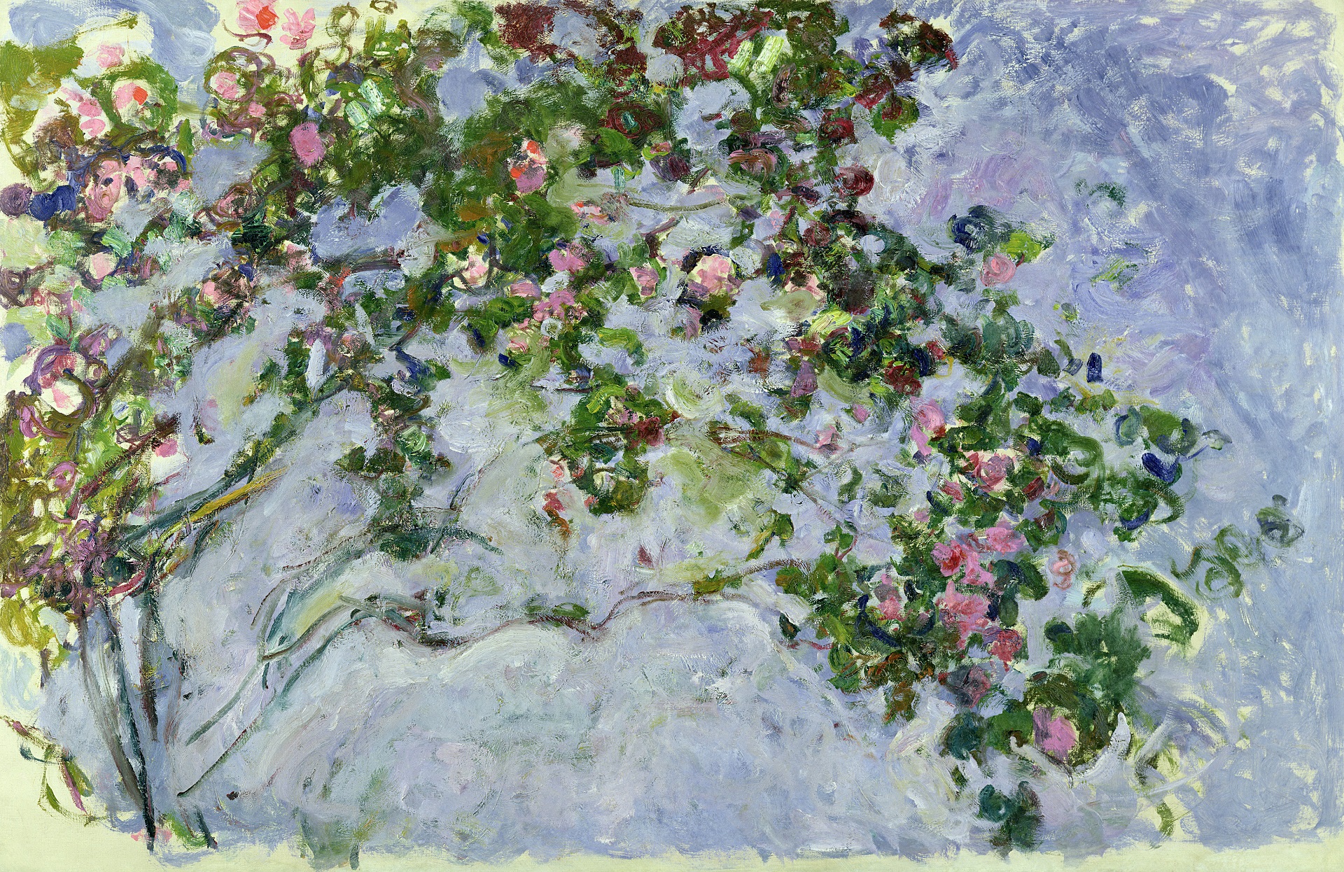 Claude Monet Le rose
