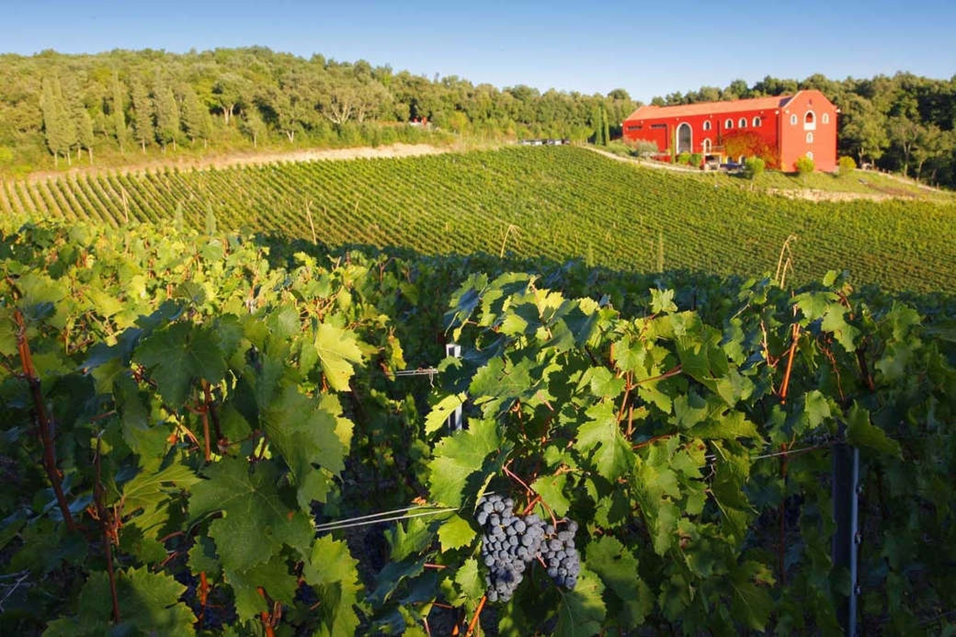 Le cantine più belle della Toscana