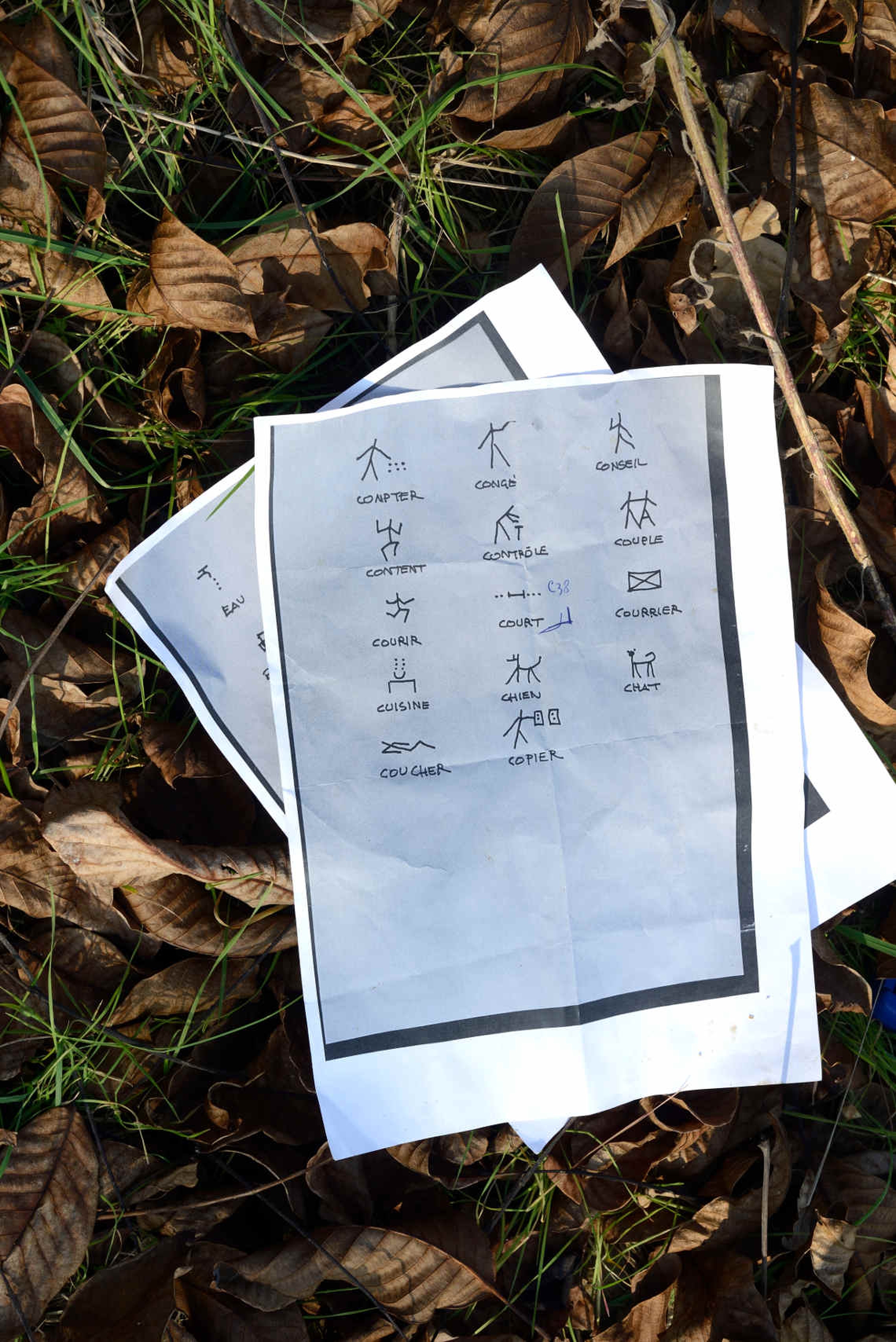 No man's land: incisioni su oltre 200 alberi